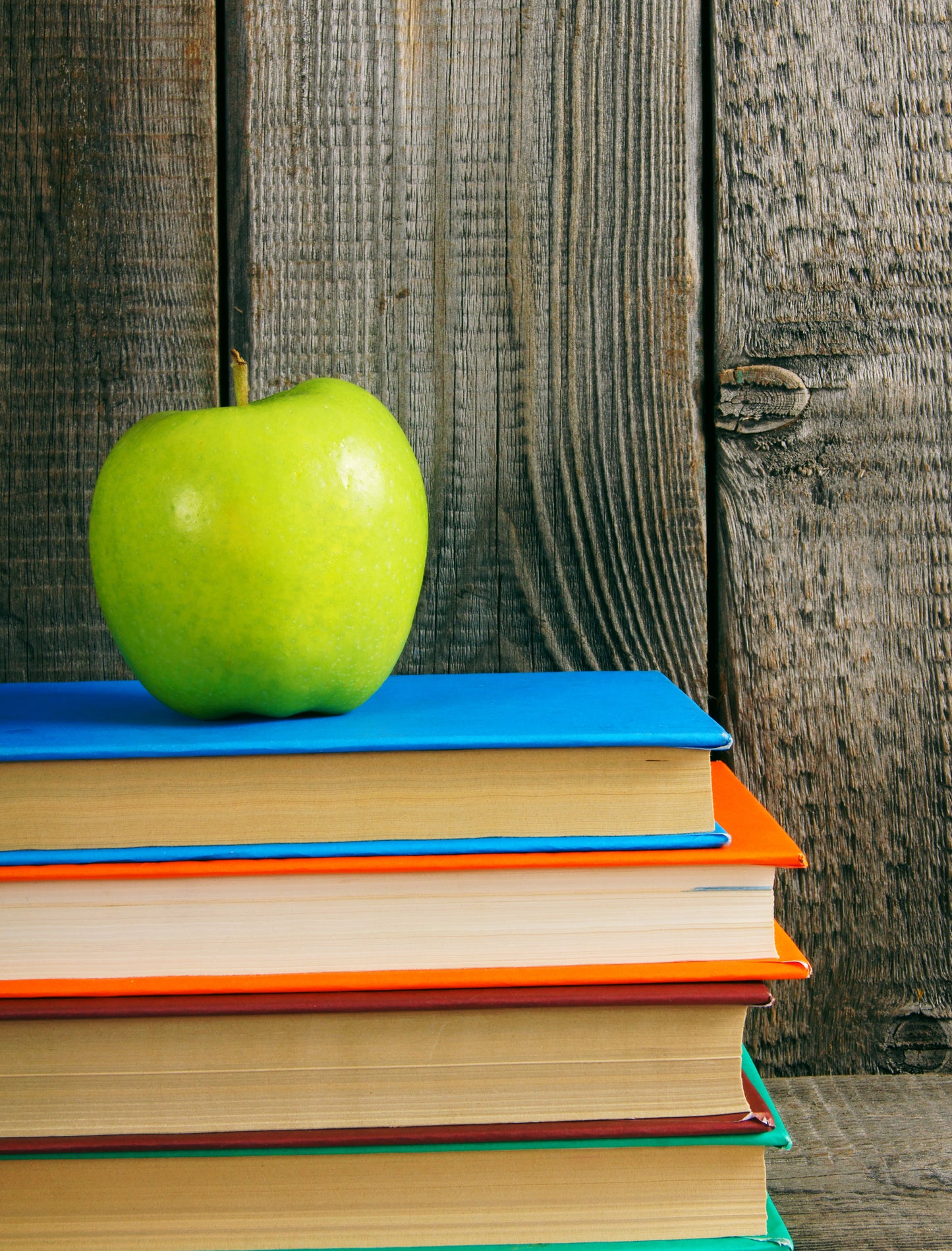 Grade 6 Basic Bundle