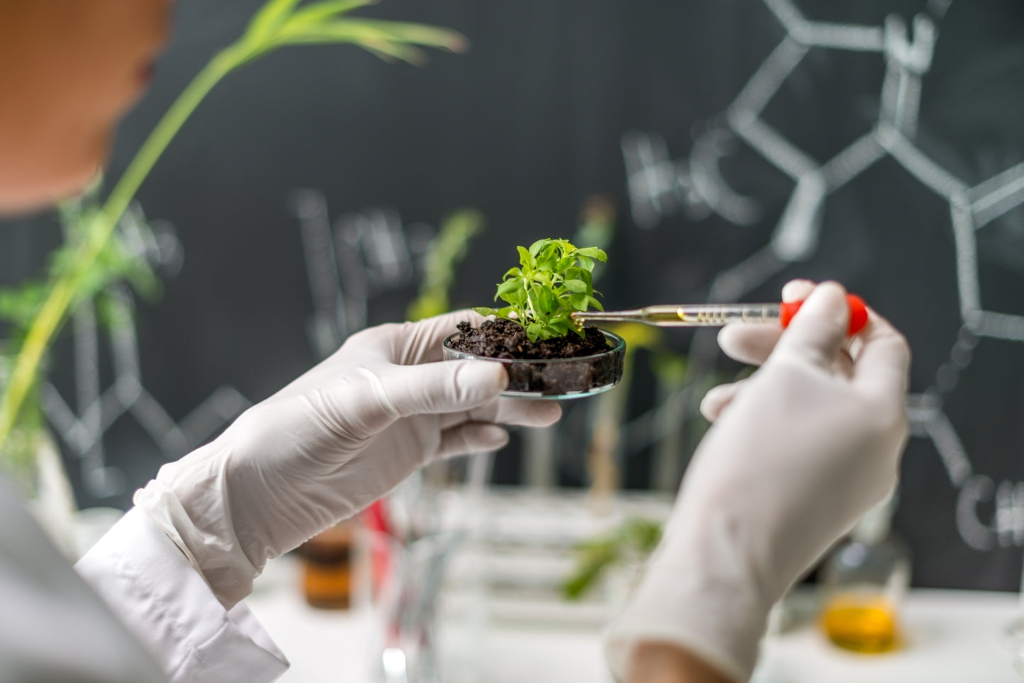 Grade 9 Biology Basic