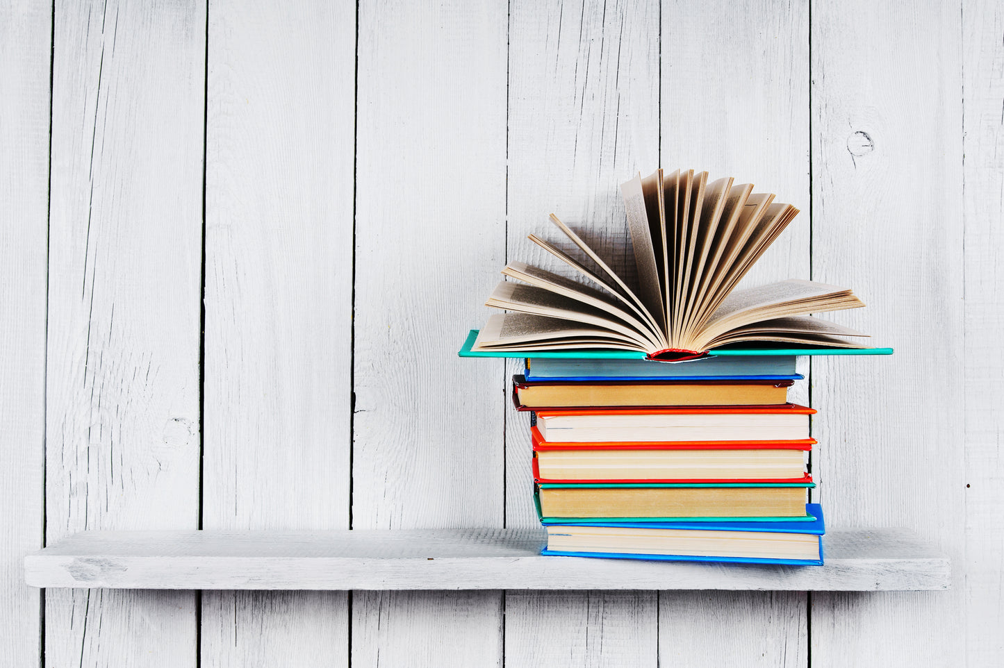 Grade 5 Basic Bundle