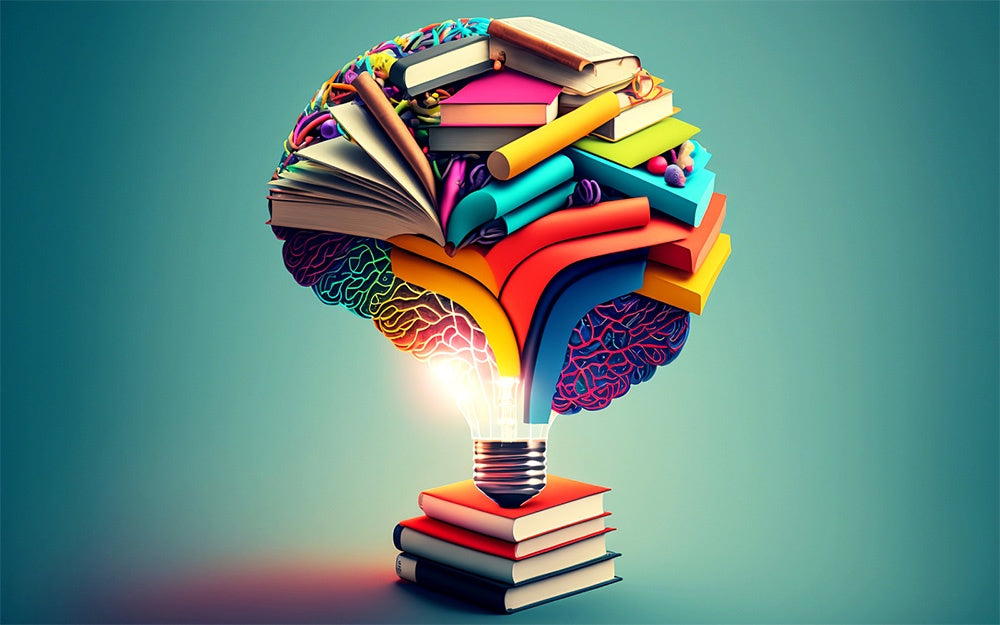 Grade 9 Business and Entrepreneurship Education: Crash Course