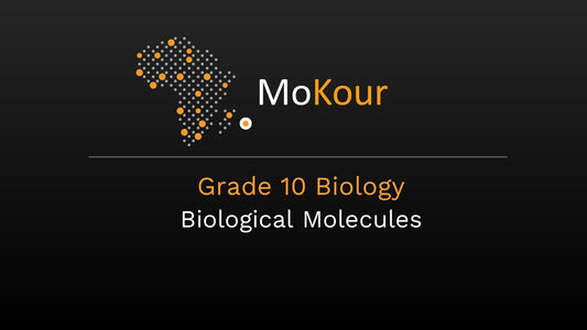 Grade 10 Biology: Biological Molecules