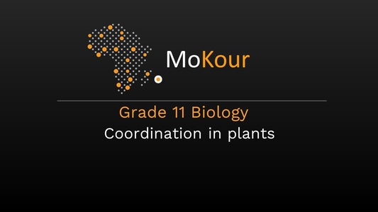 Grade 11 Biology: Coordination in plants