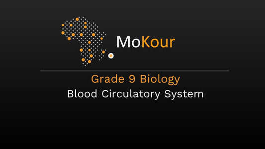 Grade 9 Biology: Blood Circulatory System