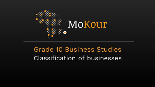 Grade 10 Business Studies: Classification of businesses