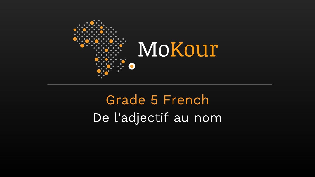 Grade 5 French: De l'adjectif au nom