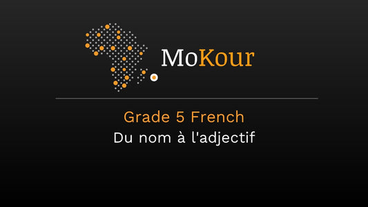 Grade 5 French: Du nom à l'adjectif