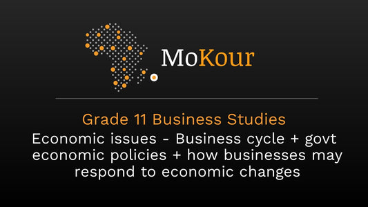 Grade 11 Business Studies: Economic issues - Business cycle + govt economic policies + how businesses may respond to economic changes