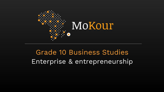 Grade 10 Business Studies: Enterprise & entrepreneurship