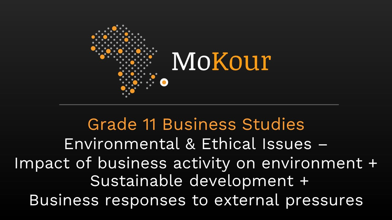 Grade 11 Business Studies: Environmental & Ethical Issues –  Impact of business activity on environment + Sustainable development +  Business responses to external pressures