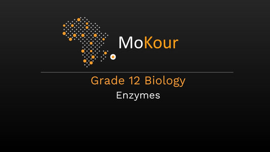 Grade 12 Biology: Enzymes