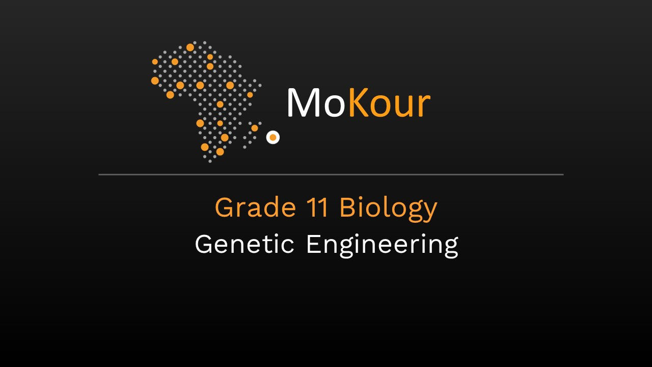 Grade 11 Biology: Genetic Engineering
