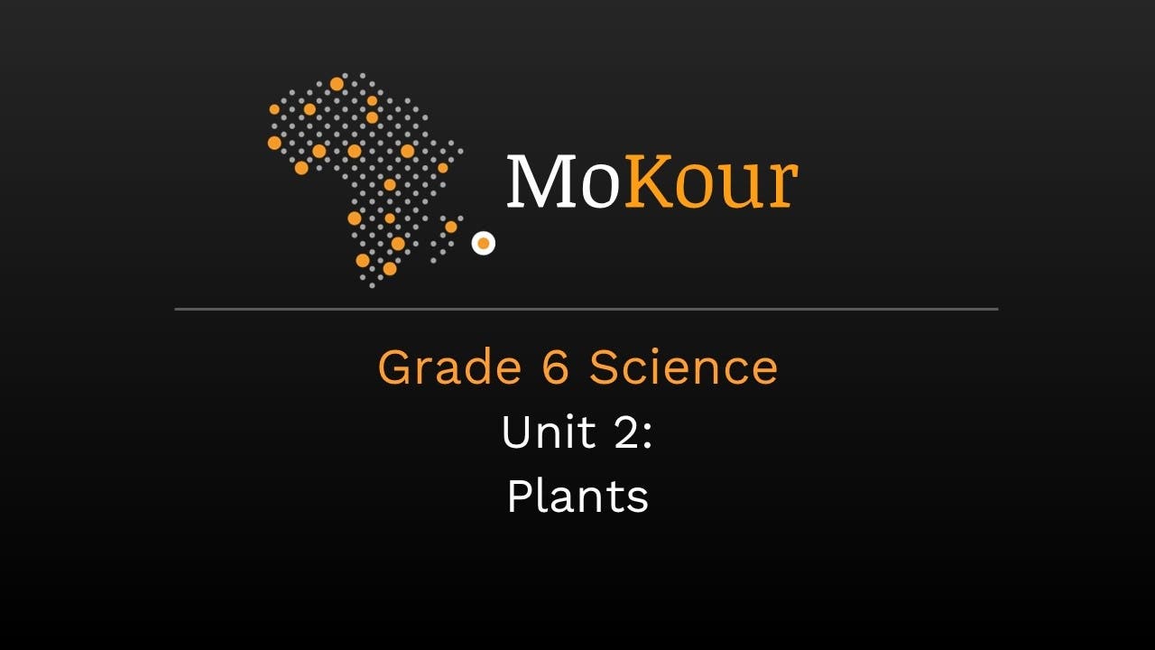 Grade 6 Science Unit 2: Plants (Trial Version)