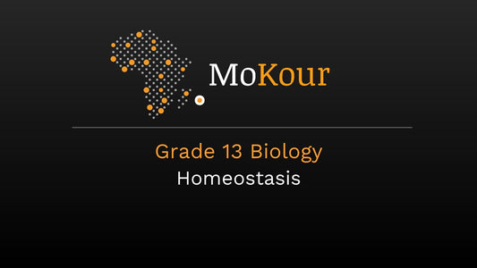Grade 13 Biology: Homeostasis
