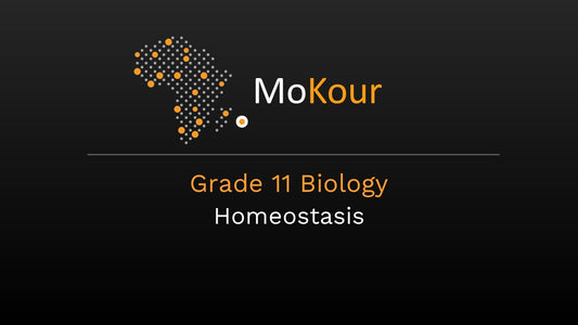 Grade 11 Biology: Homeostasis