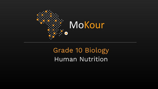 Grade 10 Biology: Human Nutrition