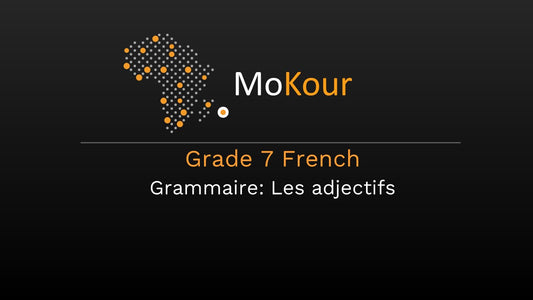 Grade 7 French Grammaire: Les adjectifs