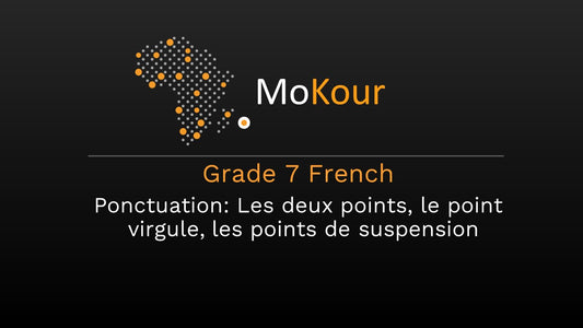 Grade 7 French Ponctuation: Les deux points, le point virgule, les points de suspension