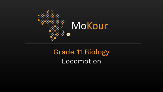 Grade 11 Biology: Locomotion