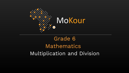 Grade 6 Mathematics: Multiplication and Division