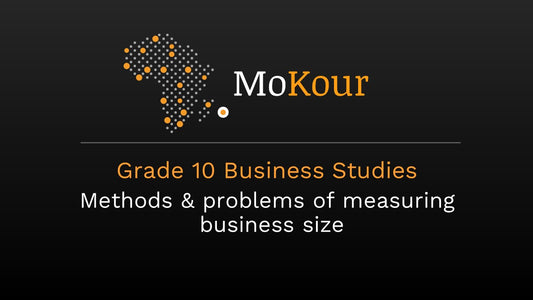 Grade 10 Business Studies: Methods & problems of measuring business size