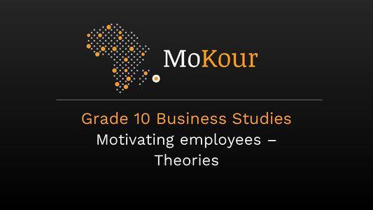 Grade 10 Business Studies: Motivating employees- Theories