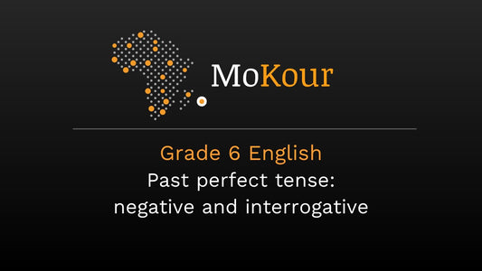 Grade 6 English: Past perfect tense : negative and interrogative