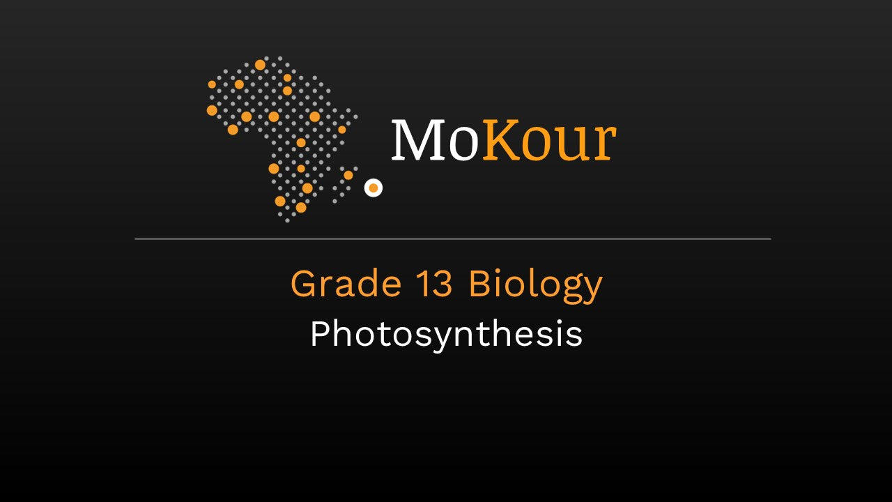 Grade 13 Biology: Photosynthesis