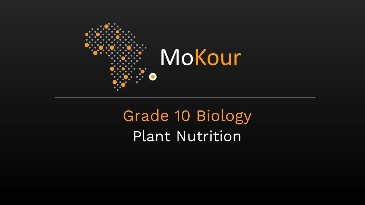 Grade 10 Biology: Plant Nutrition
