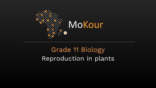 Grade 11 Biology: Reproduction in plants