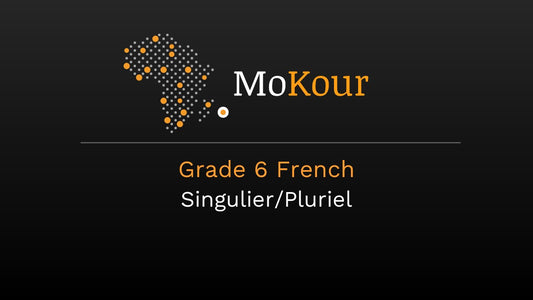Grade 6 French: Singulier/Pluriel