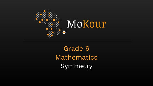 Grade 6 Mathematics: Symmetry
