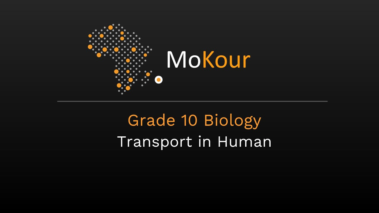 Grade 10 Biology: Transport in Human