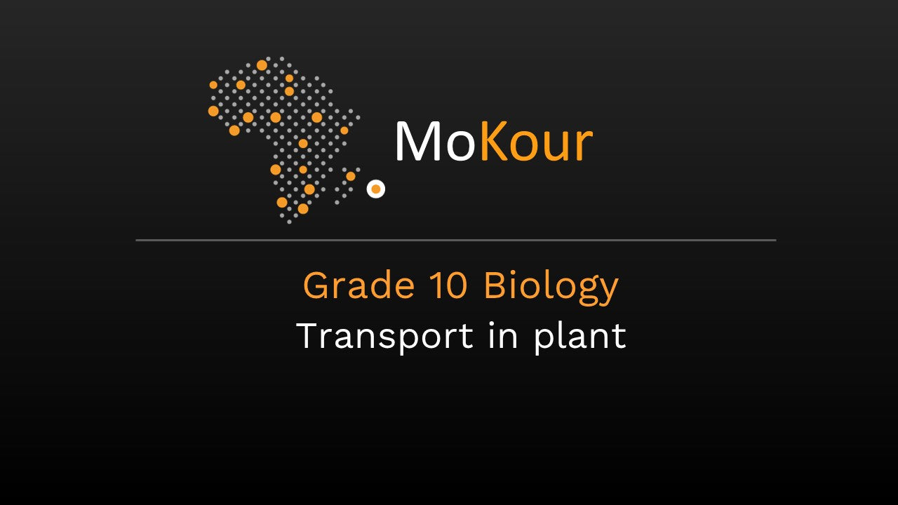 Grade 10 Biology: Transport in plant