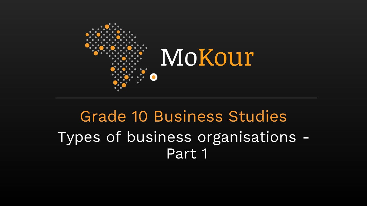 Grade 10 Business Studies: Types of business organisations- Part 1