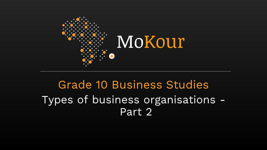 Grade 10 Business Studies: Types of business organisations- Part 2