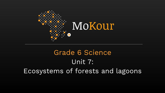 Grade 6 Science Unit 7: Ecosystems of forests and lagoons