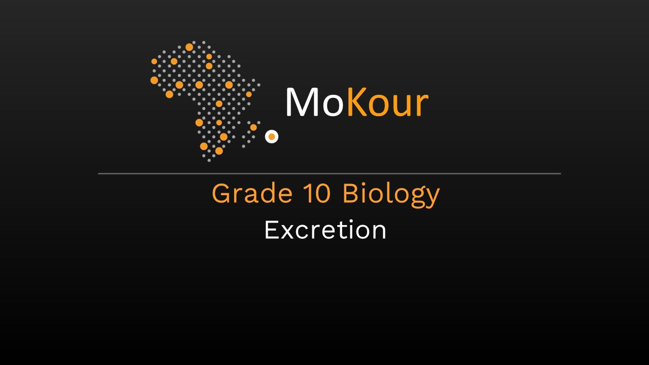 Grade 10 Biology: Excretion